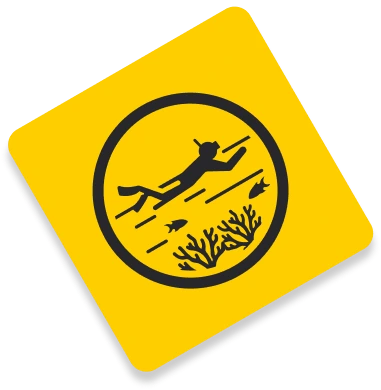 Sky diving extreme sport activity